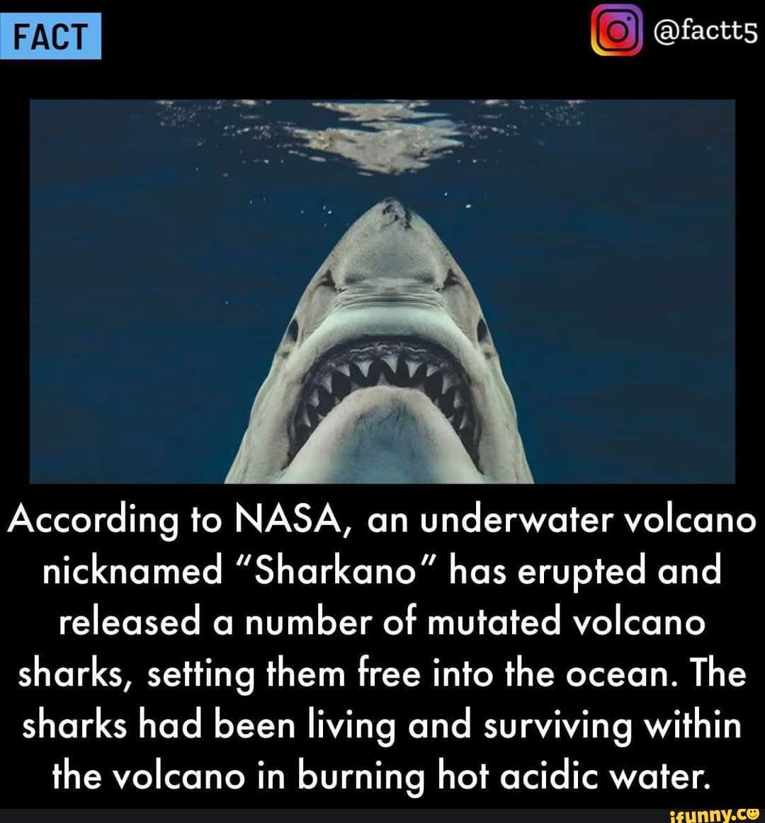 FACT According to NASA, an underwater volcano nicknamed 