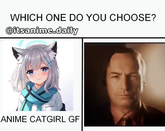 Anime memes the cat girl that you get