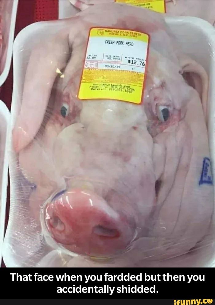 Pork memes. Best Collection of funny Pork pictures on iFunny Brazil