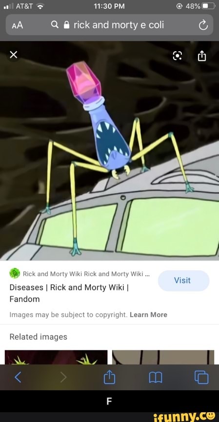 Rick and Morty, Wiki
