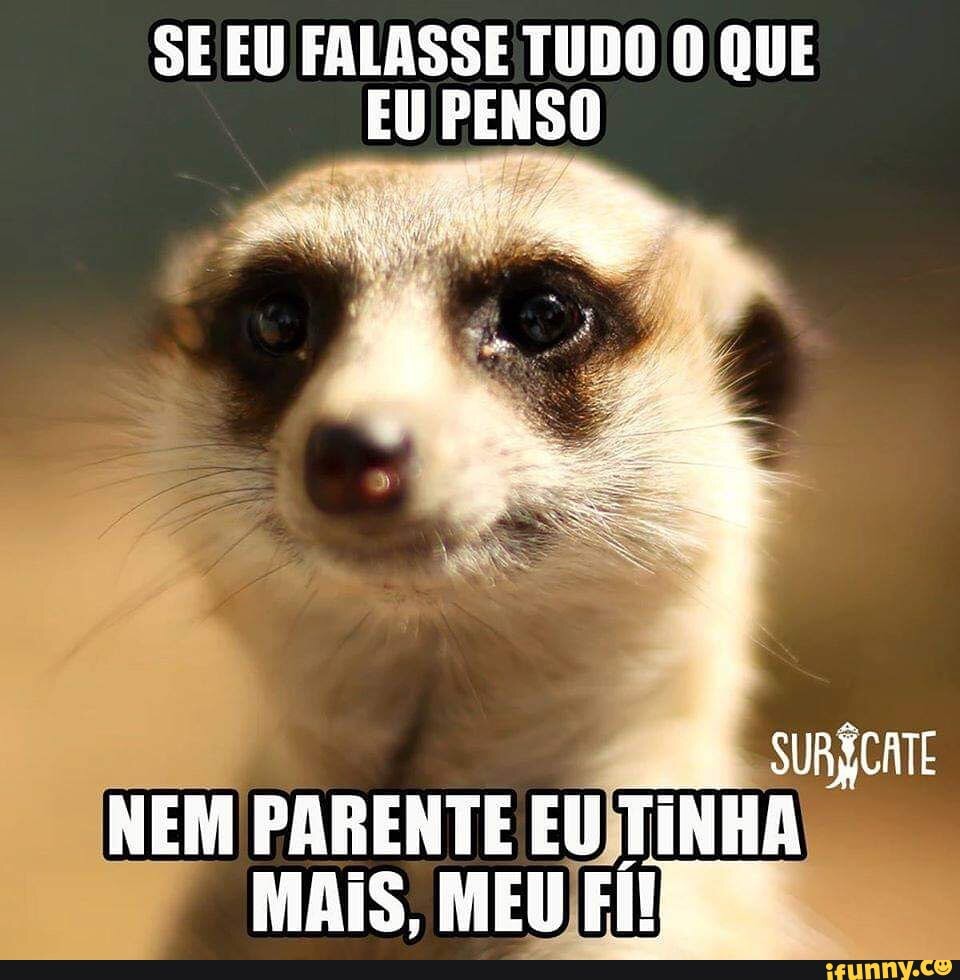 filmes – Se Meu Pet Falasse…