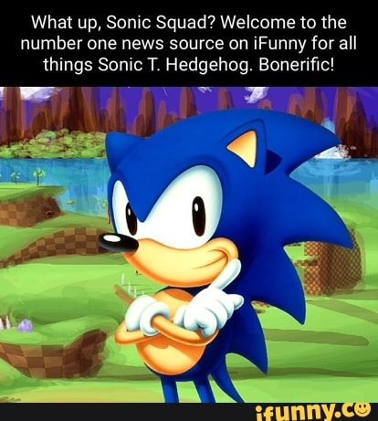 Sonicanulador memes. Best Collection of funny Sonicanulador pictures on  iFunny Brazil