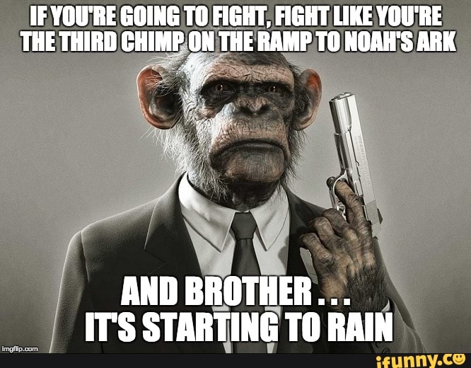 IF YOU'RE GOING TO FIGHT, FIGHT LIKE YOU'RE THE THIRD CHIMP ON THE RAMP ...