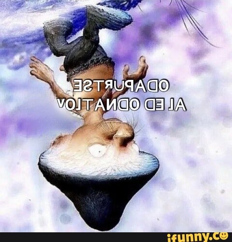 Memes de imagem 35FZC1ve8 por Vongola_: 104 comentários - iFunny