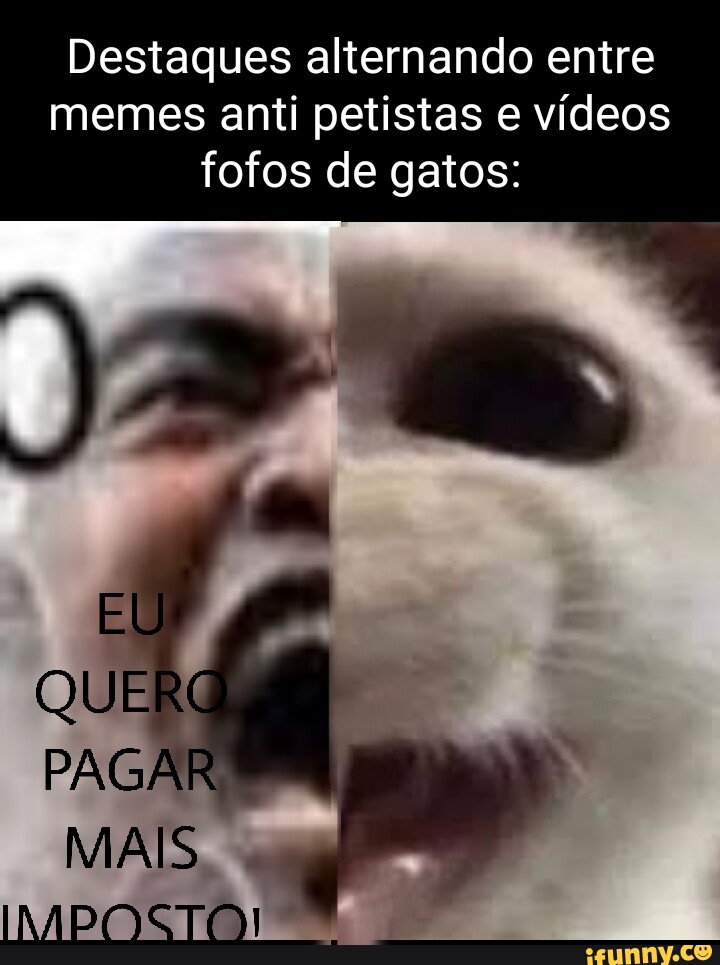 Fofinhos memes. Best Collection of funny Fofinhos pictures on iFunny Brazil