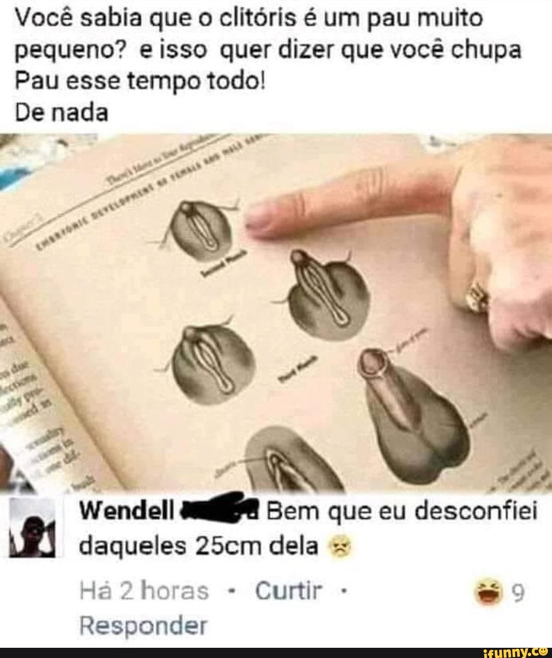 Você sabia que o clitóris é um pau muito pequeno? e isso quer dizer que você