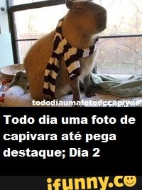 Ae ais capivara 4 grand robotizada E 500)pajpaga e A - iFunny Brazil