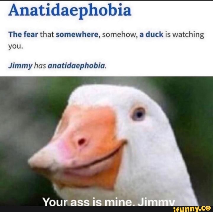 Goose memes. Best Collection of funny Goose pictures on iFunny Brazil