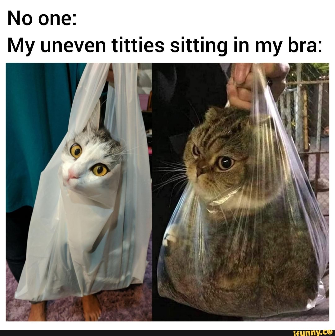 Bigboobproblems memes. Best Collection of funny Bigboobproblems pictures on iFunny  Brazil