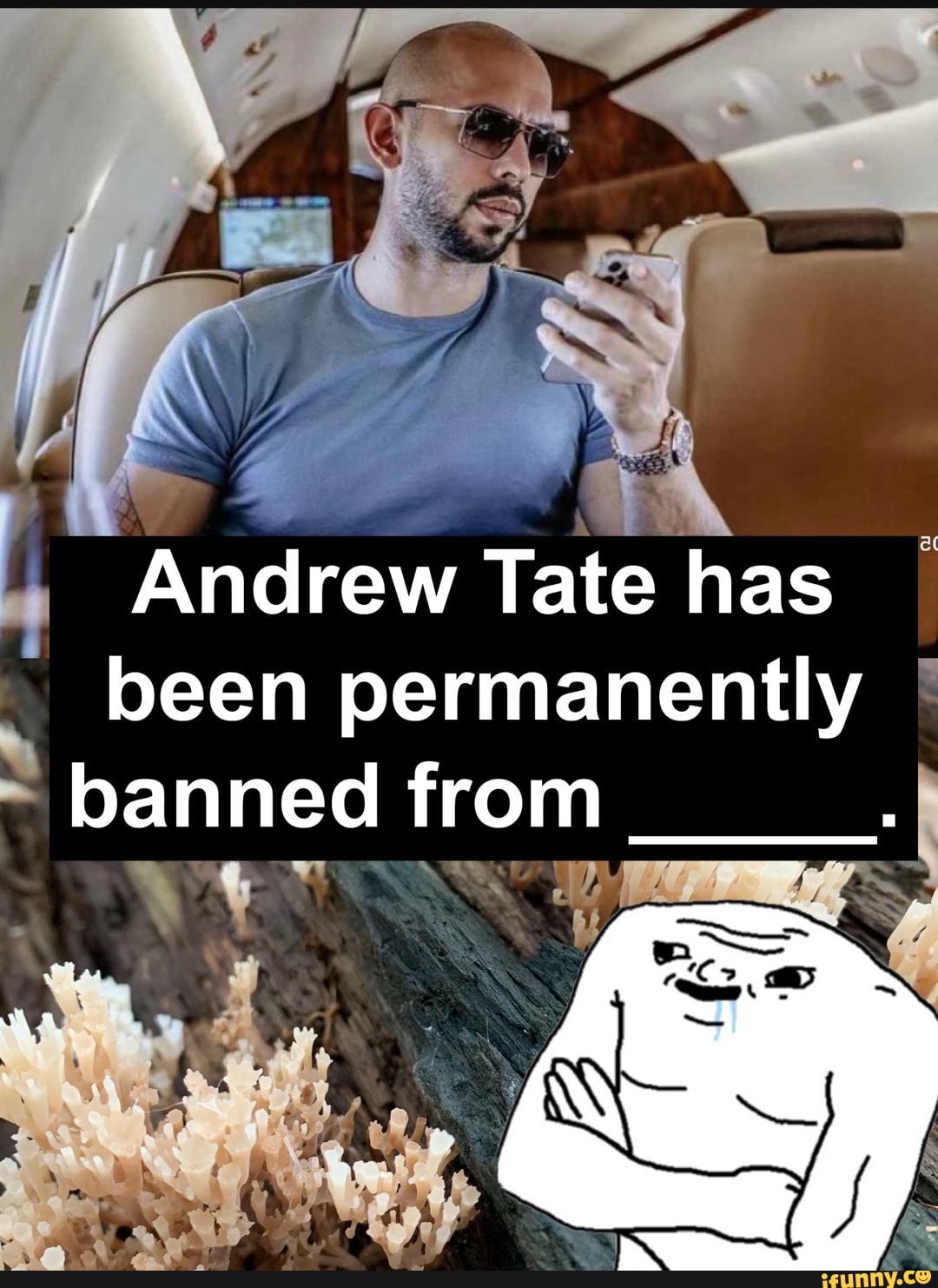 Major L - Steve Alvarez Brown SuperGT Andrew Tate has now officially been  banned from Gran Turismo 7 online multiplayer PM - 23 Aug 22 - Twitter for  Android - iFunny Brazil