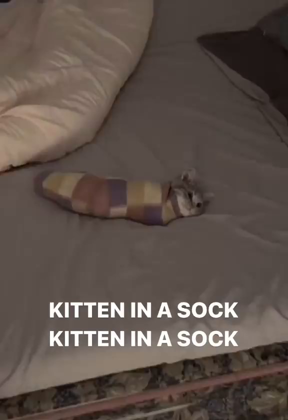 Socks memes. Best Collection of funny Socks pictures on iFunny Brazil