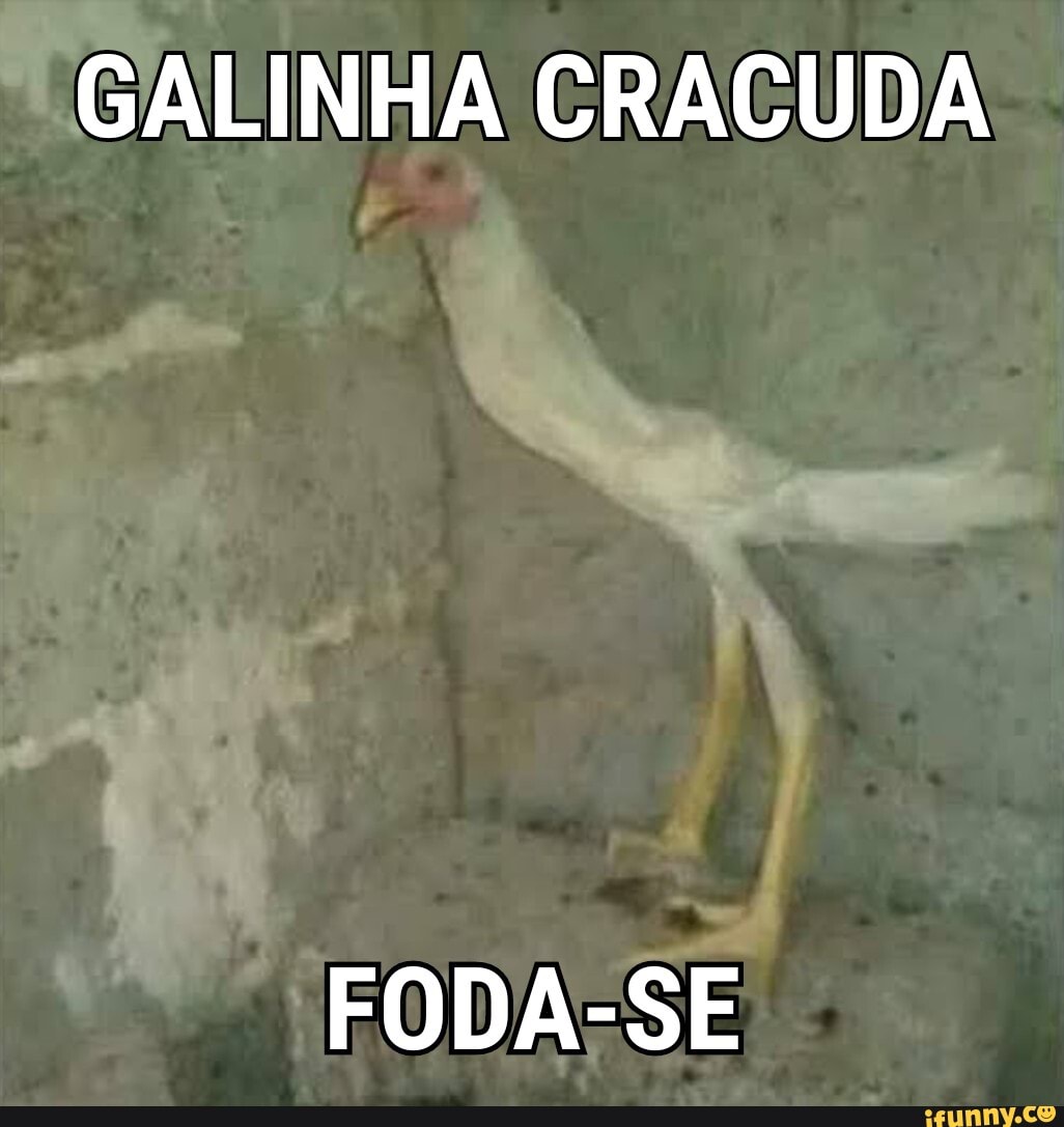 GALINHA CRACUDA FODA-SE - iFunny Brazil