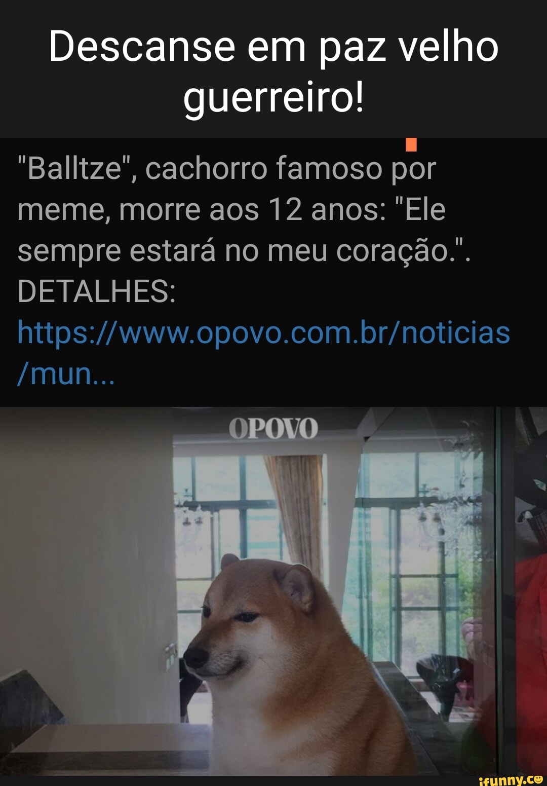 Quando eu estou morrendo na Fila do SUS e me lembro do meme do cachorro  Falando Intankavelo Bostil - iFunny Brazil