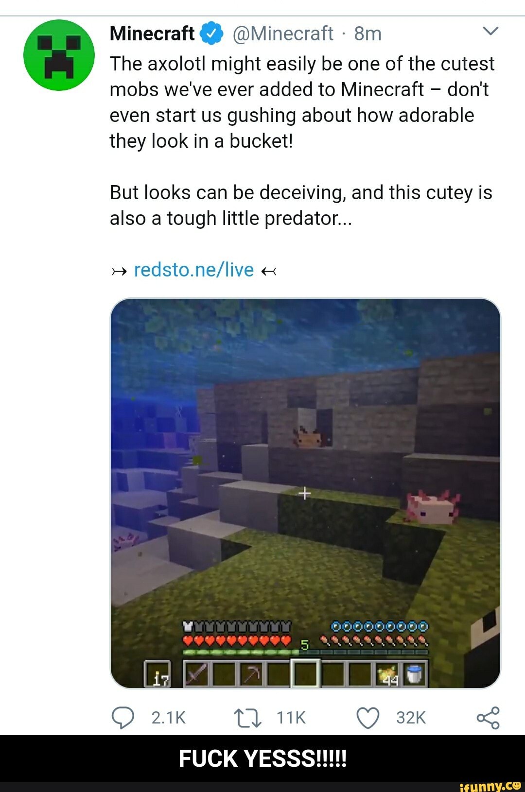 Minecraft Memes ⛏️ on X: Spotted on the Minecraft Bedrock Main menu 🐷   / X