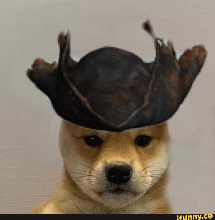 SUPREME Dogwifhat, Dogwifhat