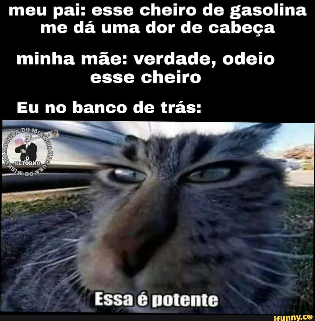 Eu fazendo esse meme não sei nada de damia no comentário vindo ma porque  botei dama e não xadrez - iFunny Brazil