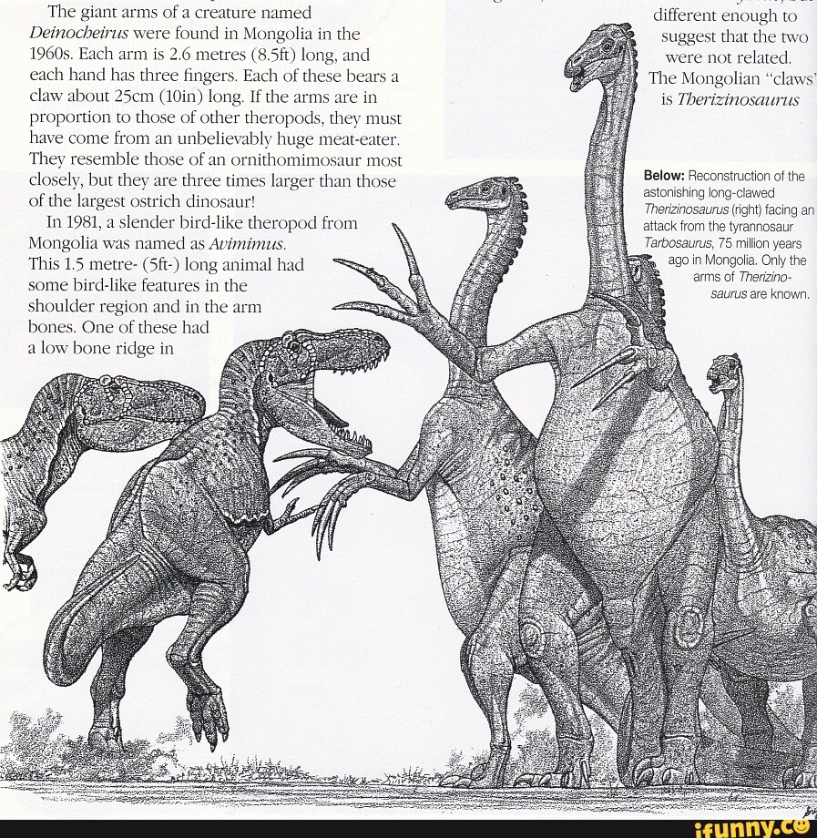 Deinocheirus: The Giant Dinosaur with Hands