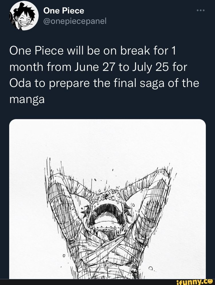 Final de One Piece - iFunny Brazil
