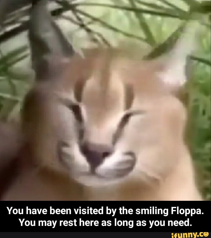 Floppacube memes. Best Collection of funny Floppacube pictures on iFunny  Brazil