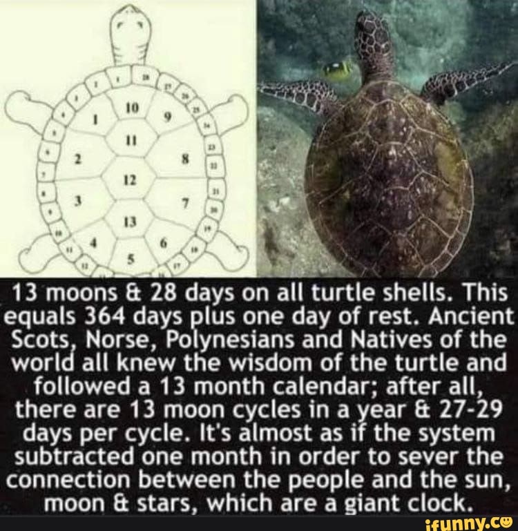 13 moons 28 days on all turtle shells This equals 364 days plus one