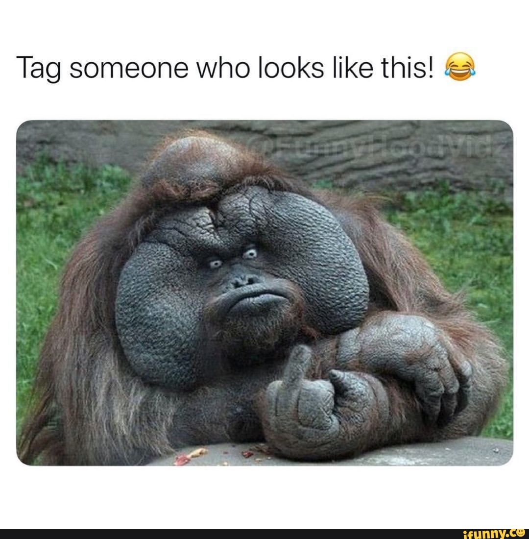 Tag someone who looks like this! - iFunny Brazil