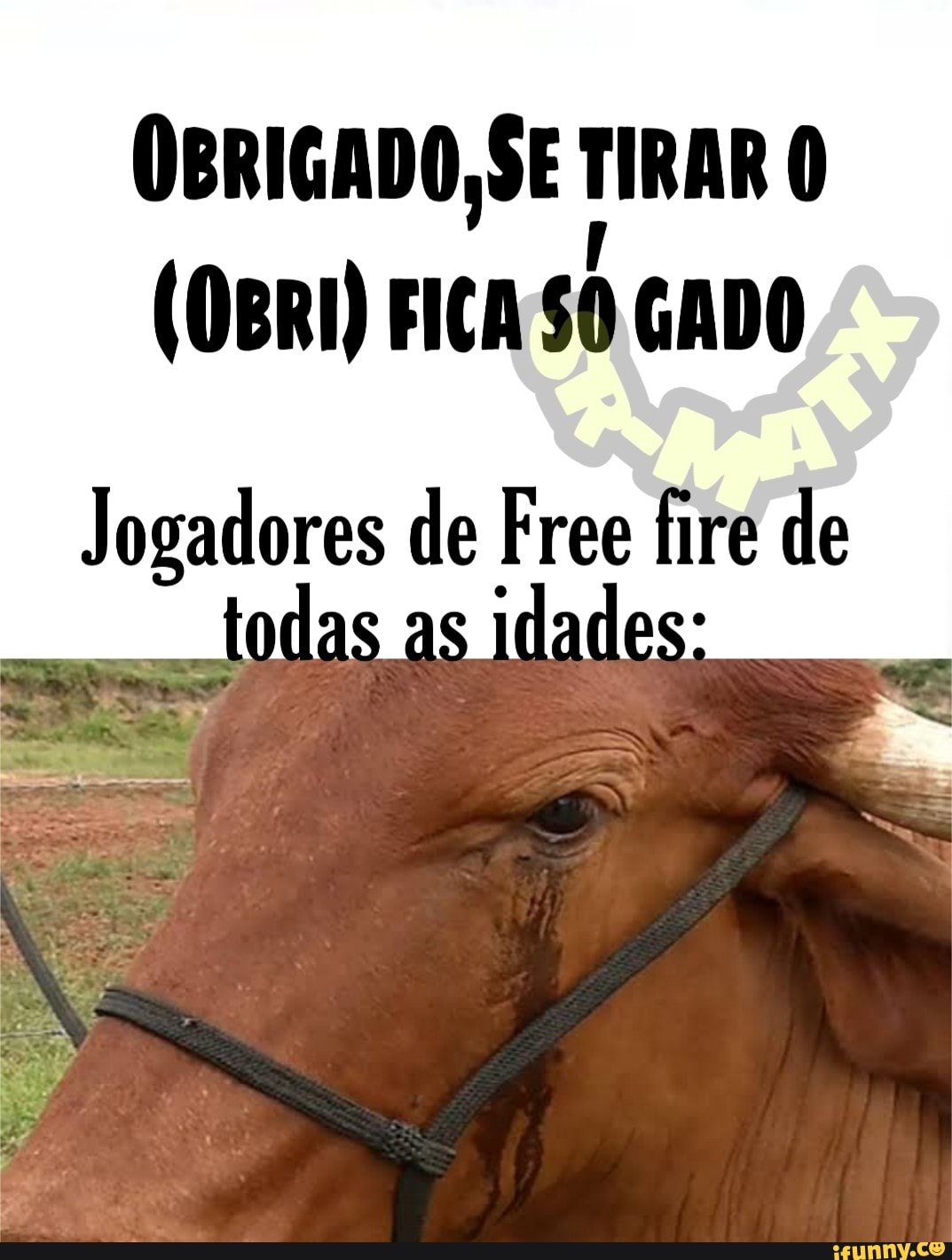 Pesquise ox no Google images e descubra a maior comunidade de jogadores  de Free fire do mundo! - iFunny Brazil