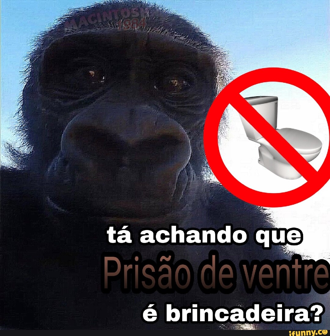 Meme Stonks - Origem da brincadeira que viralizou na internet