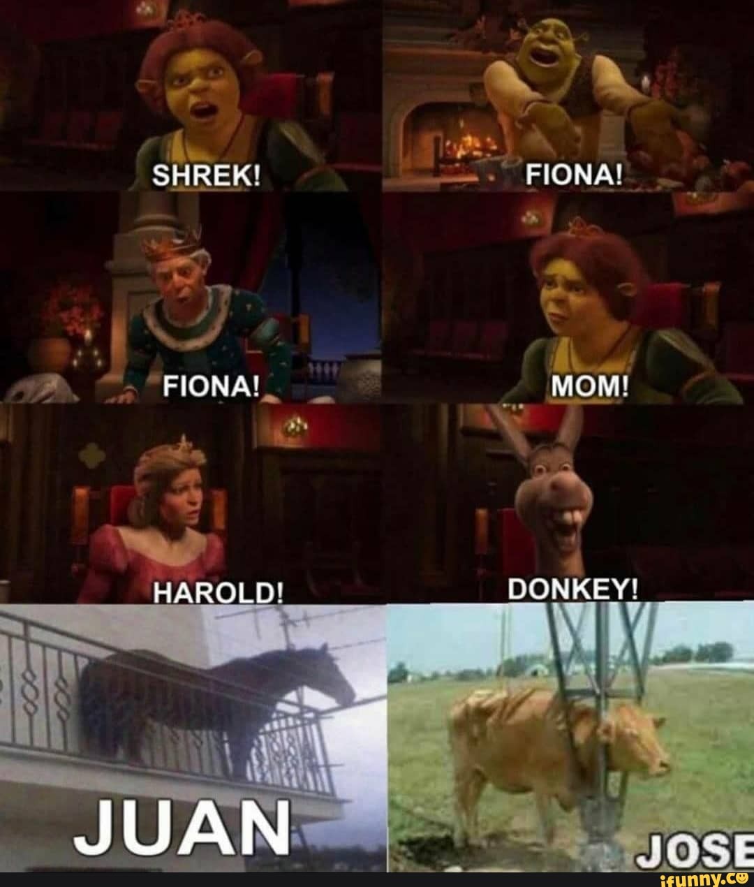 shrek fiona donkey meme
