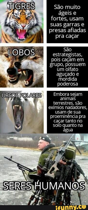 AGUENTA UM AfIADA - iFunny Brazil