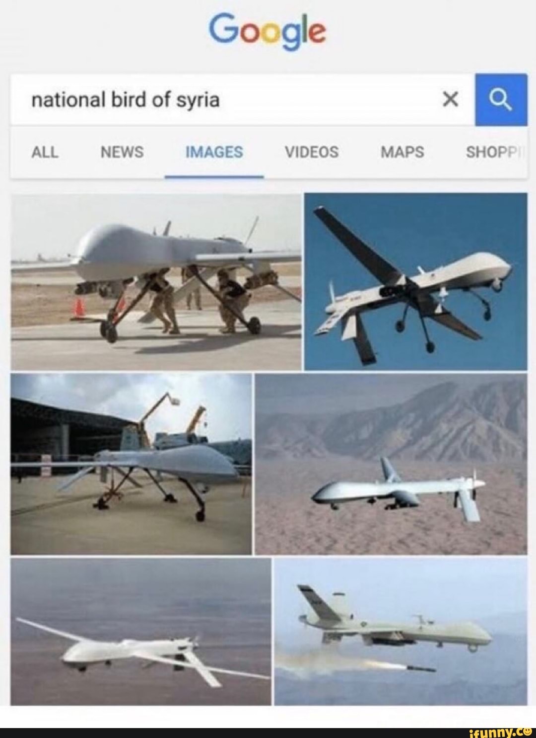 Google national bird of syria Xx ALL NEWS IMAGES VIDEOS MAPS SHOP} - iFunny  Brazil