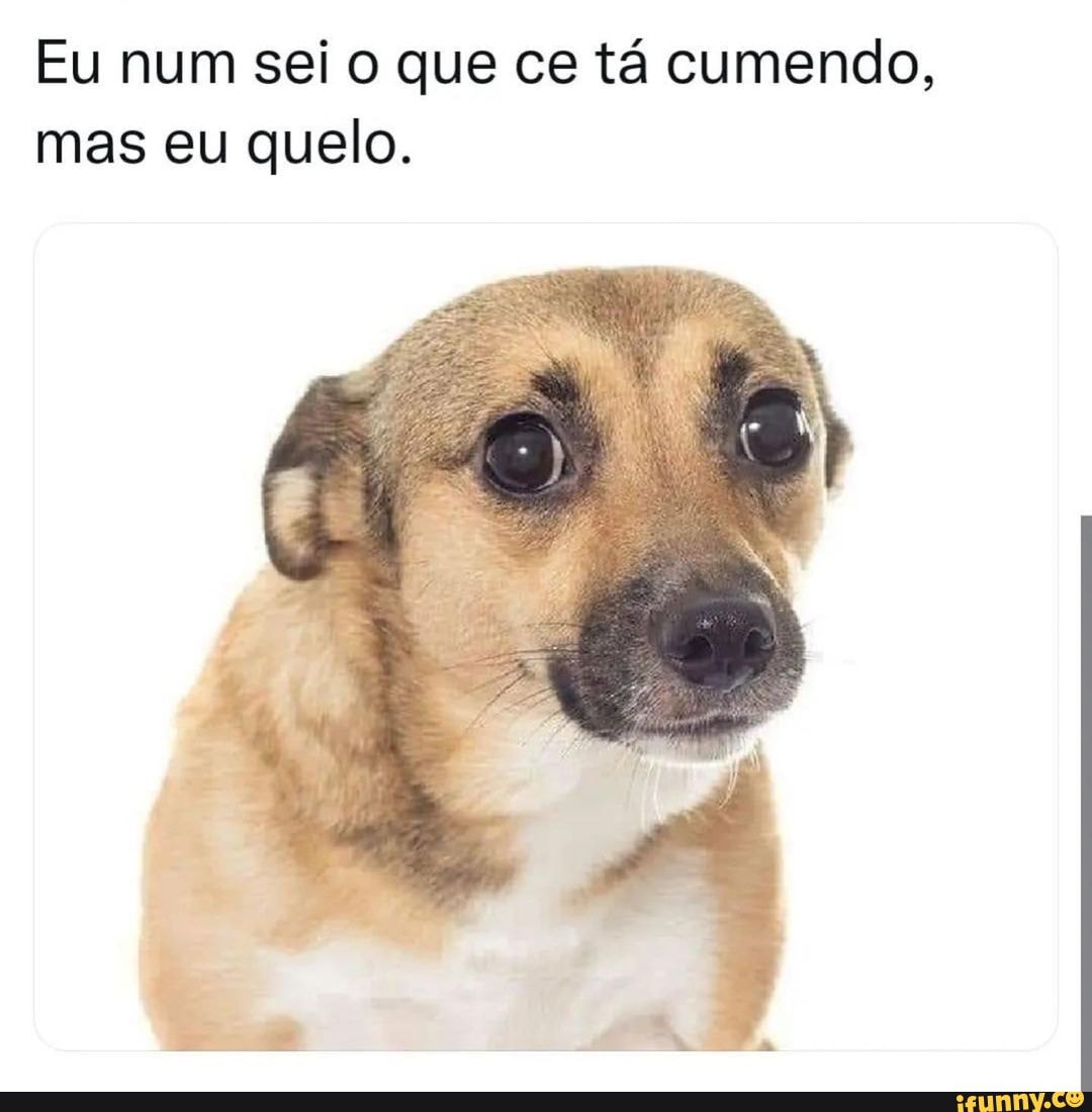 Buxim cheio!!! a MUÇEL To aqui mais susegado do que pai de muie feia.  Aoôhhh Catilangaiada - iFunny Brazil