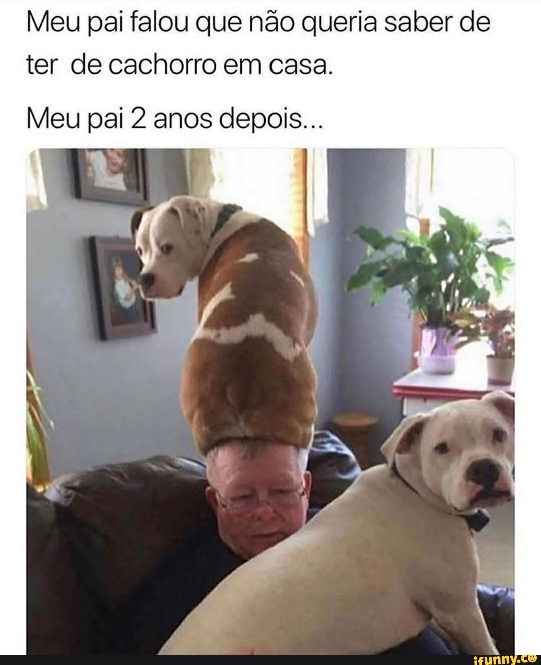 meu cachorro morreu e agora não tenho dinheiro para spoofer no