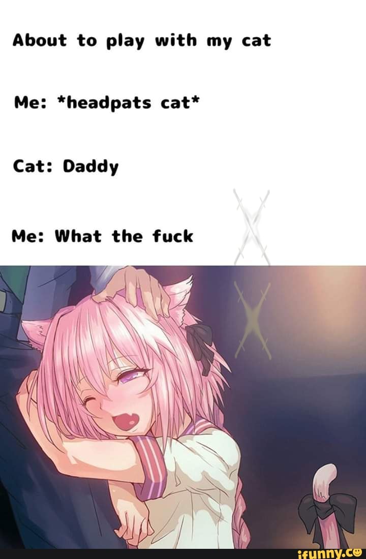 About to play with my cat Me: *headpats cat* Cat: Daddy Me: What the fuck -  iFunny Brazil