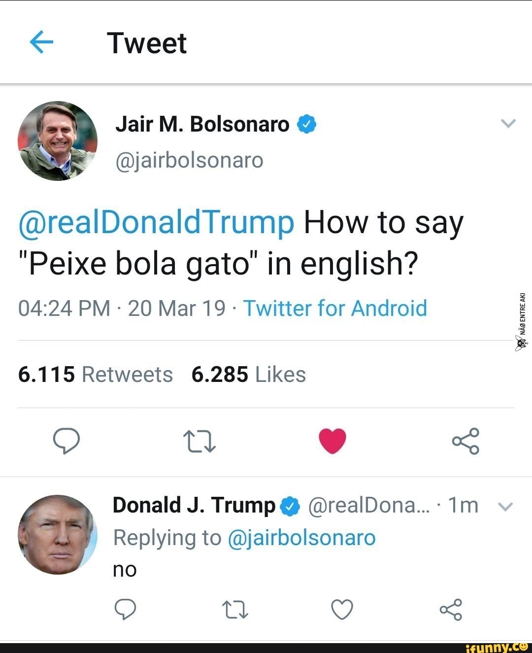 realDonaldTrump How to say "Peixe bola gato" in english? 0424 PM 20