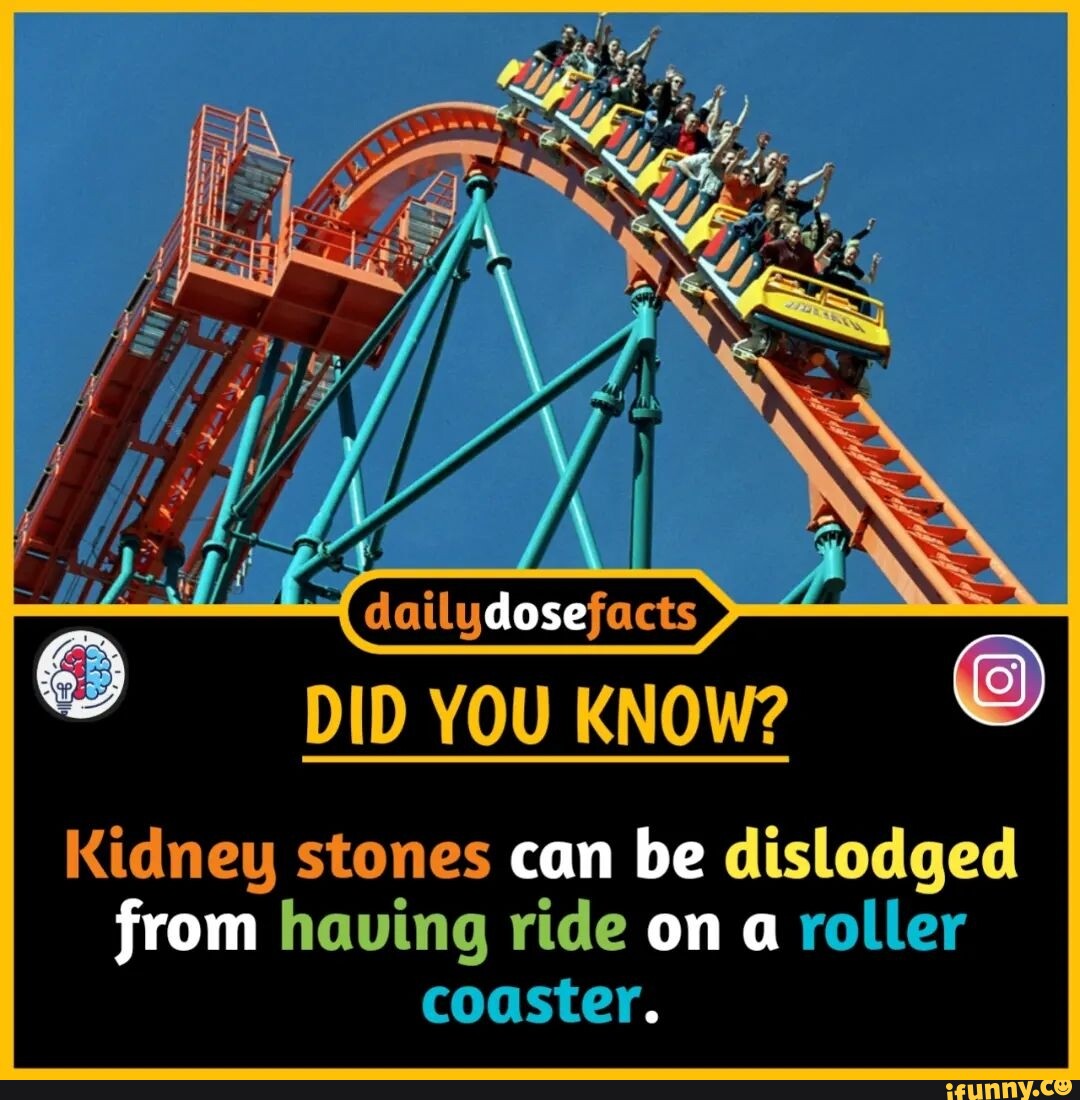 Dose DID YOU KNOW Kidney stones can be dislodged from having ride