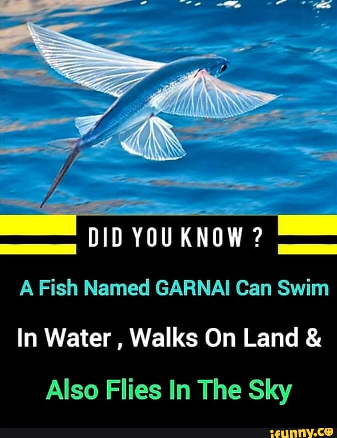 DID YOU KNOW ? A Fish Named GARNAI Can Swim In Water , Walks On Land