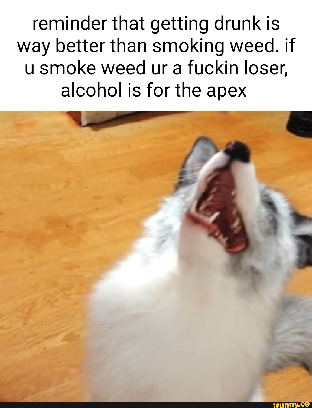 Reminder that getting drunk is way better than smoking weed. if u smoke weed ur a fuckin loser