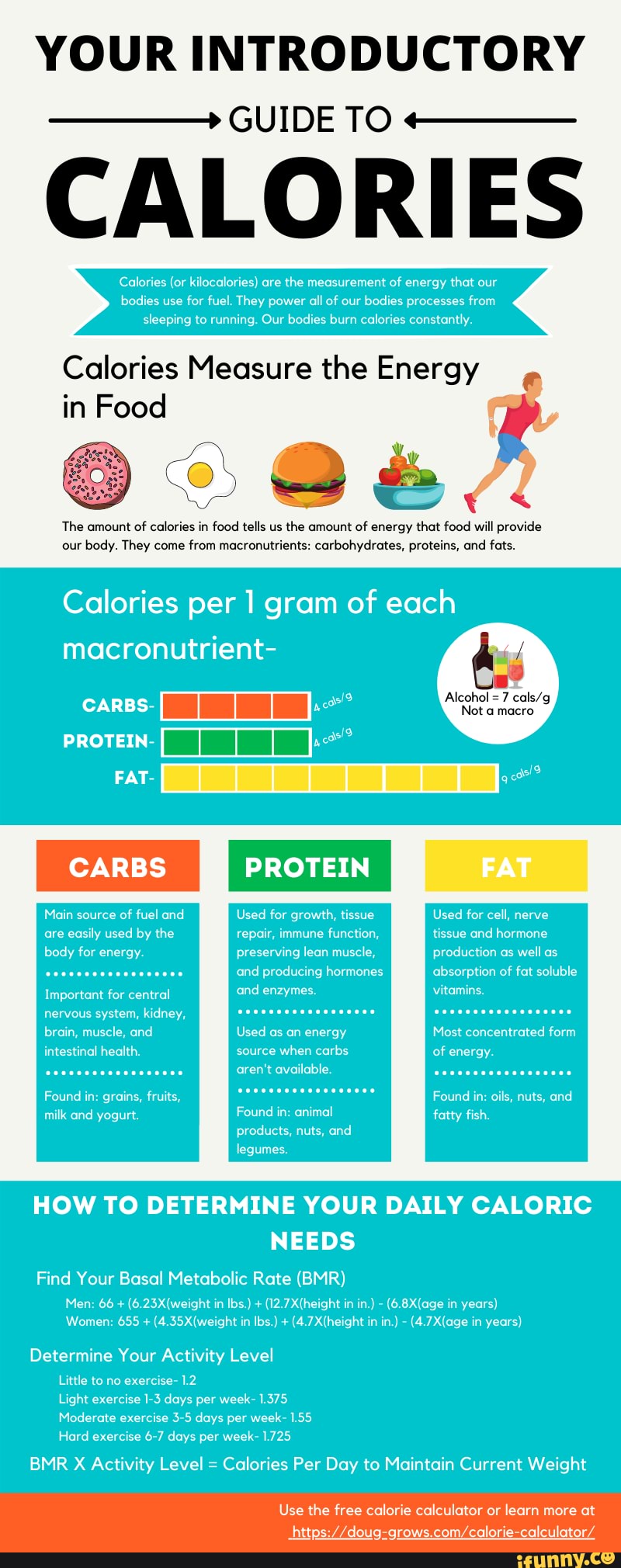 Introductory Guide To Calories Infographic - YOUR INTRODUCTORY GUIDE TO ...