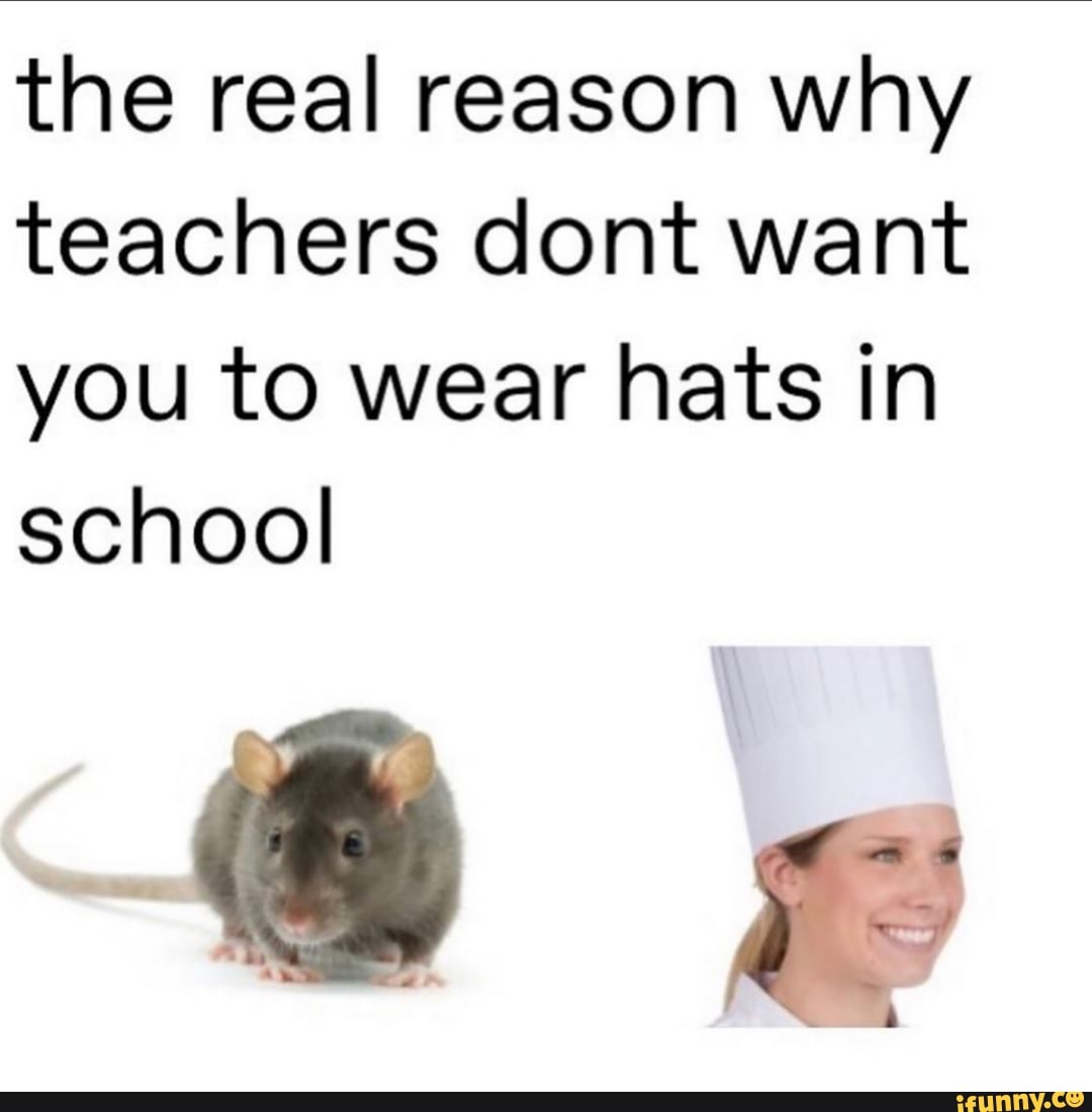 The real reason why teachers dont want you to wear hats in school
