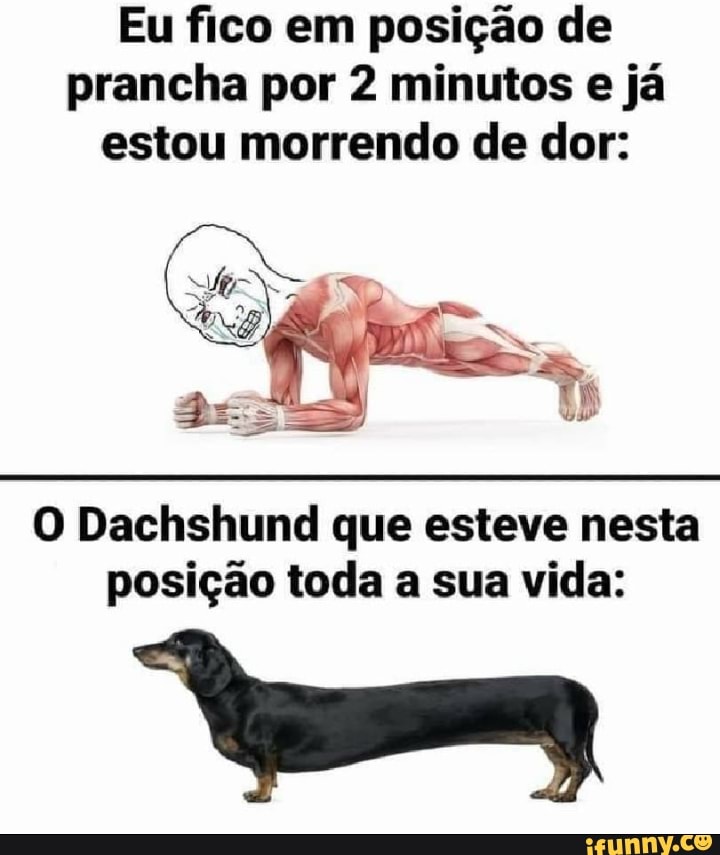 Quando eu estou morrendo na Fila do SUS e me lembro do meme do cachorro  Falando Intankavelo Bostil - iFunny Brazil