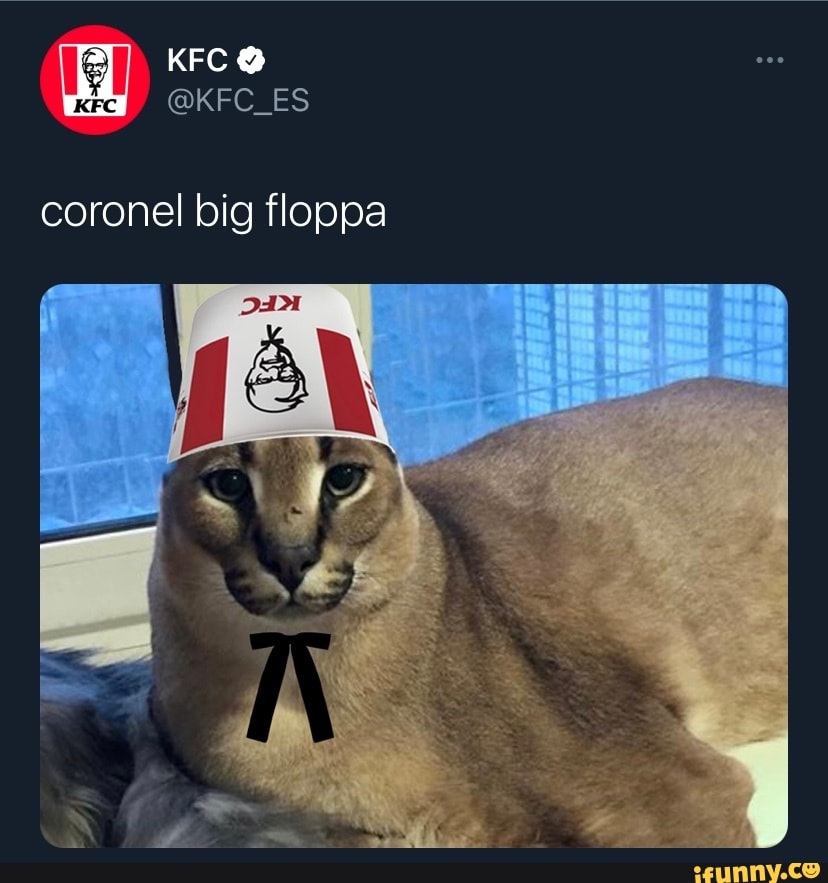 Conheça Big Floppa, o gato que virou a grande estrela dos memes na