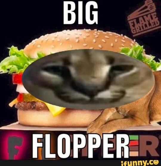 Flopperarmy memes. Best Collection of funny Flopperarmy pictures