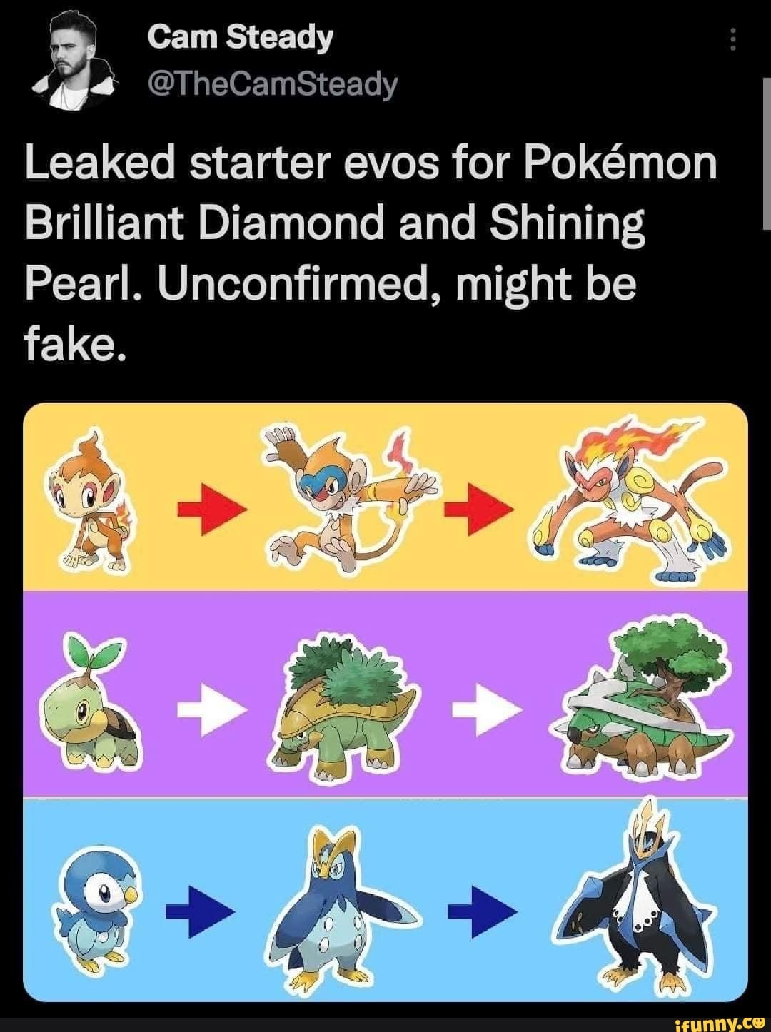 Leaked starter evos for Pokemon Brilliant Diamond and Shining Pearl.  Unconfirmed, might be fake. - iFunny