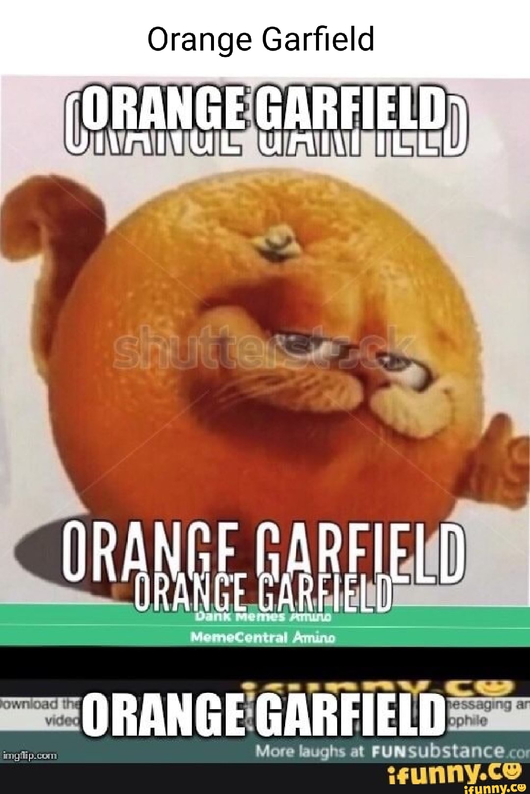 Orange Garfield GARFIELD) AWAUIS Se ANGE ELD ORANGE GARFIELD - iFunny ...