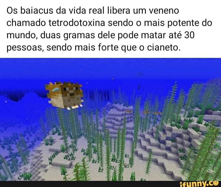 Venenoso memes. Best Collection of funny Venenoso pictures on iFunny Brazil