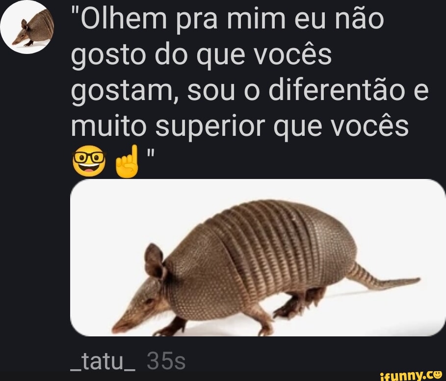 Cabei de votar no tatu - iFunny Brazil