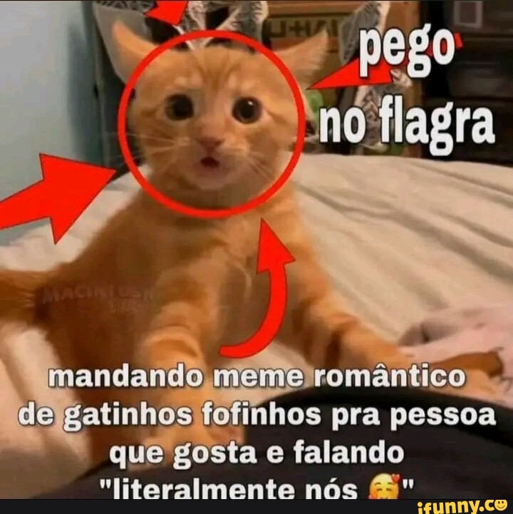 Fofinhos memes. Best Collection of funny Fofinhos pictures on iFunny Brazil