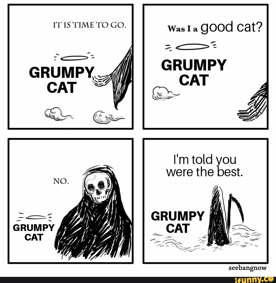Morre 'Grumpy Cat', a gata celebridade da internet, protagonista de