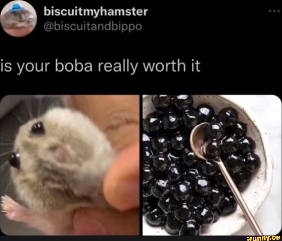 Biscuitmyhamster is your boba really worth it - iFunny Brazil