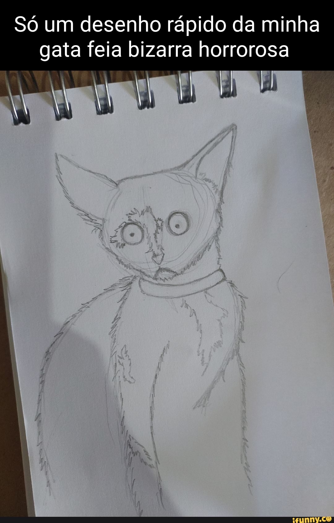 Cat Horror Drawing - Gato Horror Desenho